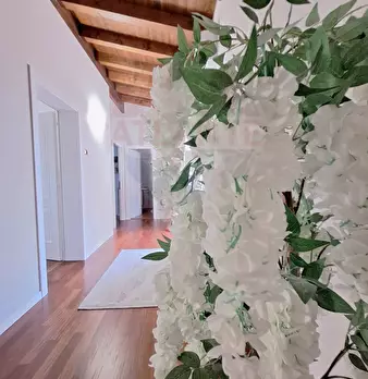Foto annuncio 32