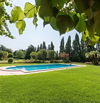 Foto annuncio 5