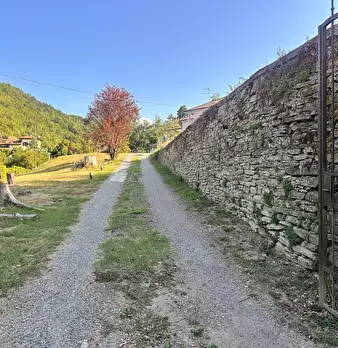 Foto annuncio 7