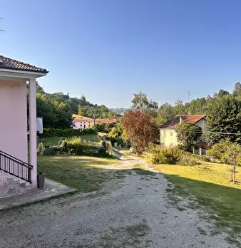 Foto annuncio 37