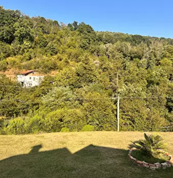 Foto annuncio 38