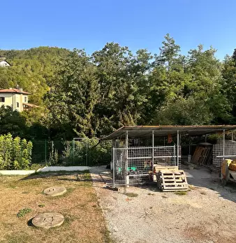 Foto annuncio 39