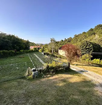 Foto annuncio 41