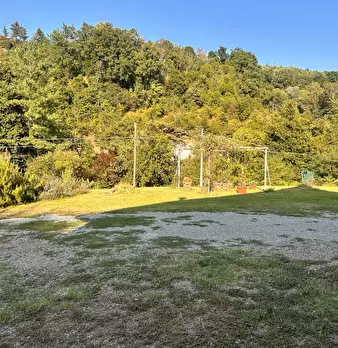 Foto annuncio 56