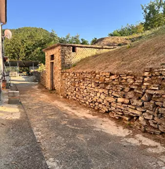 Foto annuncio 61