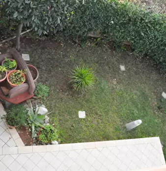 Foto annuncio 25