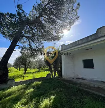 Foto annuncio 13