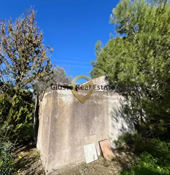 Foto annuncio 15