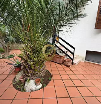 Foto annuncio 34