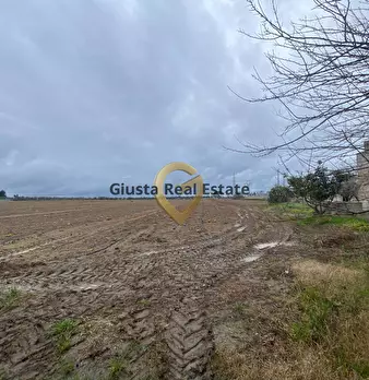 Foto annuncio 14