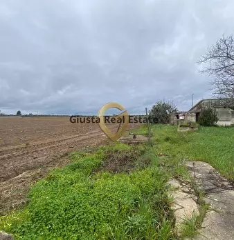 Foto annuncio 11