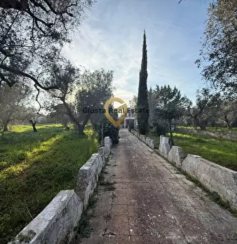 Foto annuncio 6