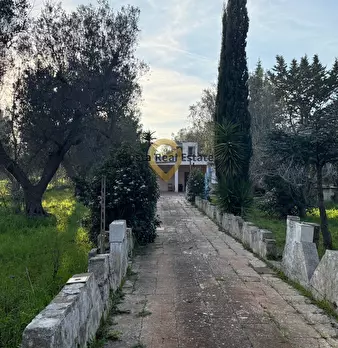 Foto annuncio 3
