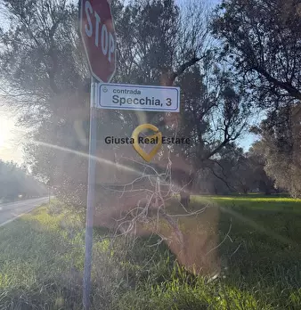 Foto annuncio 18