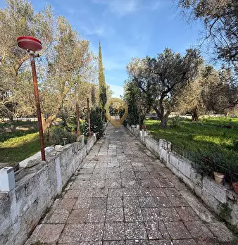 Foto annuncio 9