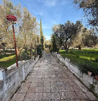 Foto annuncio 10