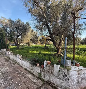 Foto annuncio 11
