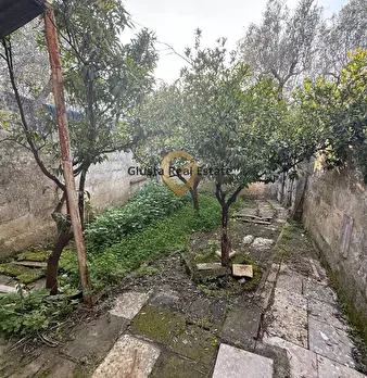 Foto annuncio 17