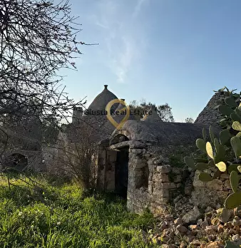Foto annuncio 7