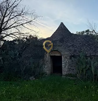 Foto annuncio 10