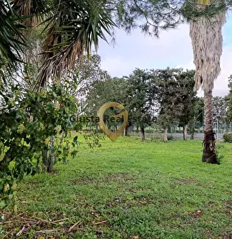 Foto annuncio 6