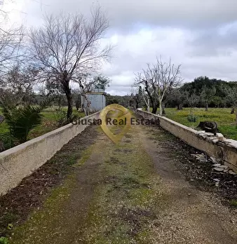 Foto annuncio 10