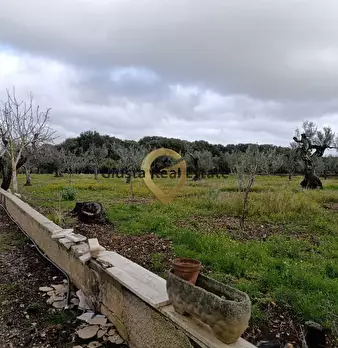 Foto annuncio 11