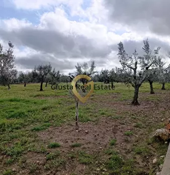 Foto annuncio 13