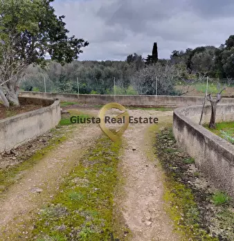 Foto annuncio 14