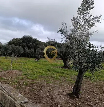 Foto annuncio 15