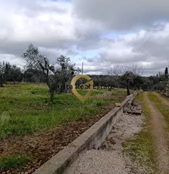 Foto annuncio 16