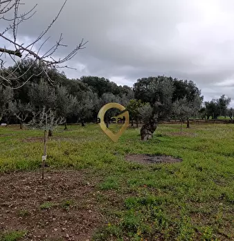 Foto annuncio 17