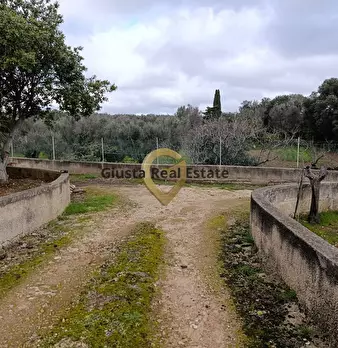 Foto annuncio 18