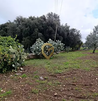 Foto annuncio 19