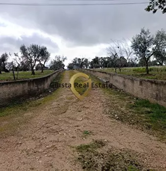 Foto annuncio 20