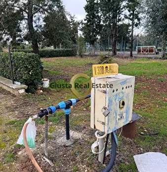 Foto annuncio 21