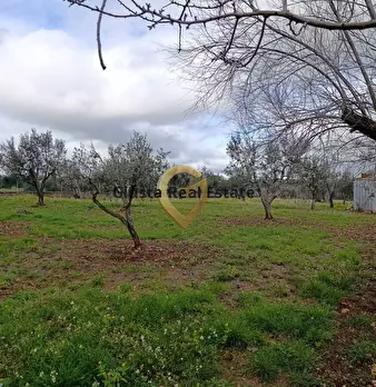 Foto annuncio 22