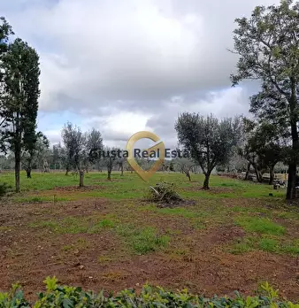 Foto annuncio 23