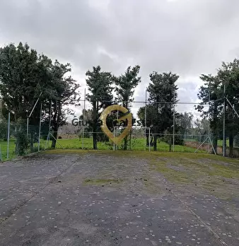 Foto annuncio 24