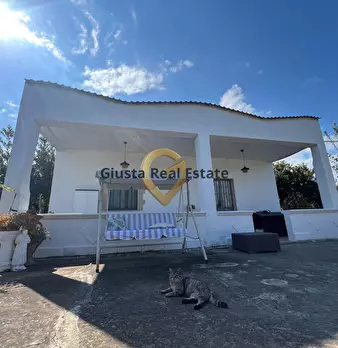 Foto annuncio 3