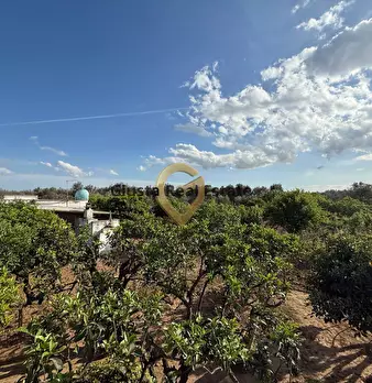 Foto annuncio 12