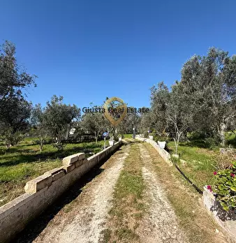 Foto annuncio 9