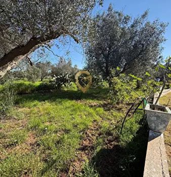 Foto annuncio 10
