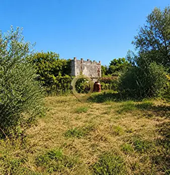 Foto annuncio 22