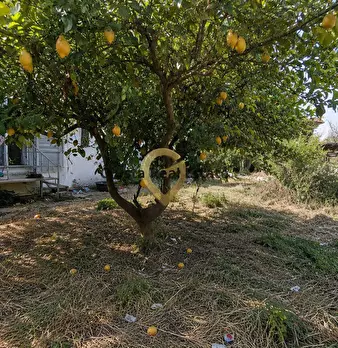 Foto annuncio 21
