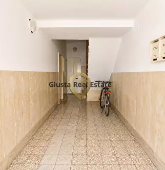 Foto annuncio 26