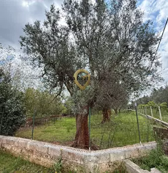 Foto annuncio 4