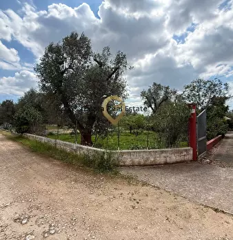 Foto annuncio 7