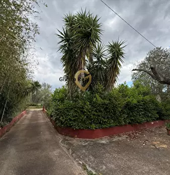 Foto annuncio 11