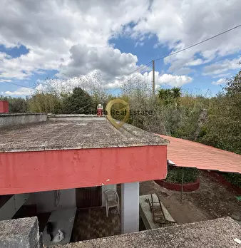 Foto annuncio 17